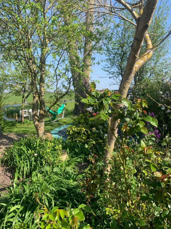 Very Nice Cottage In Durgerdam, With Private Garden, Free Parking, Pets Allowed Amsterdam Exterior photo